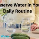 5 Simple Ways To Conserve Water In Your Daily Routine