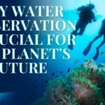 Why Water Conservation Is Crucial for Our Planet’s Future