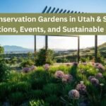 Top Water Conservation Gardens in Utah and San Diego: Locations, Events, and Sustainable Ideas